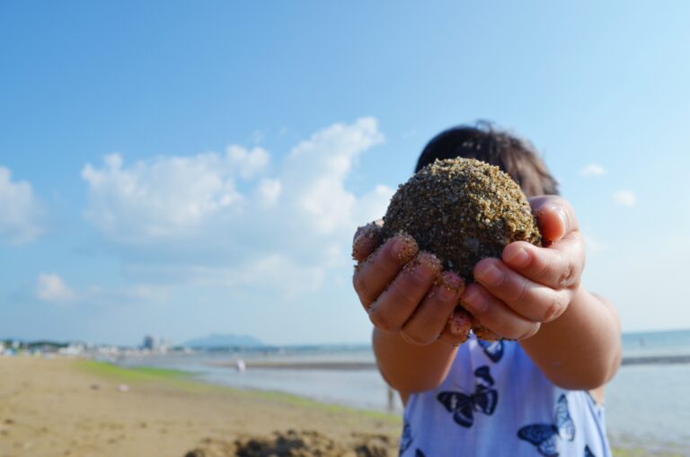 公園で泥だんごを作る